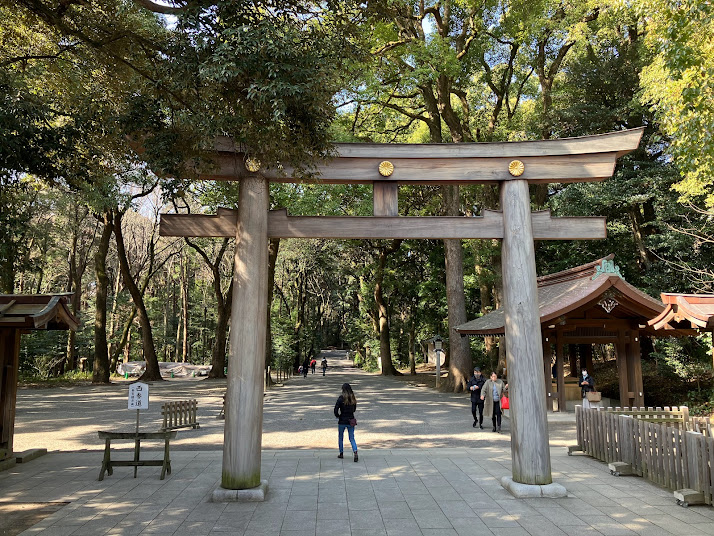 Meiji Jingu forest