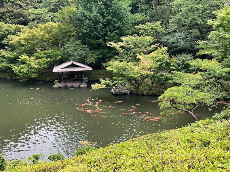 Happo-en koi pond