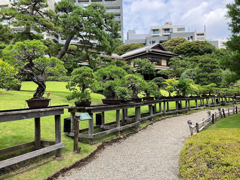 Happoen Bonsai road