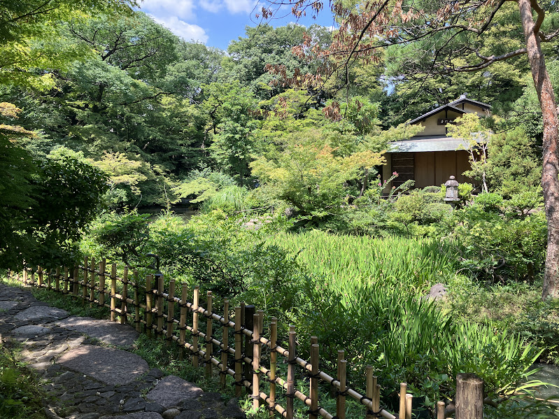 Nezu museum garden