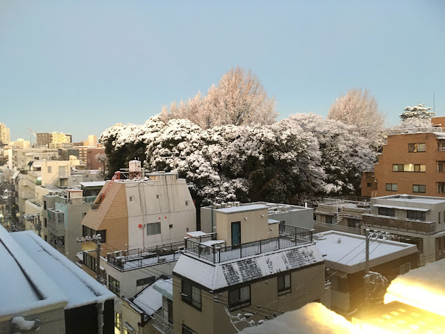 snow in Tokyo