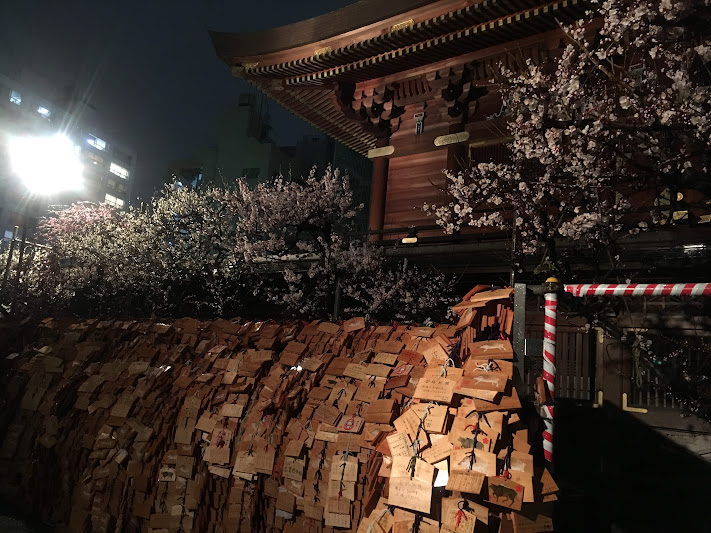 Yushima Tenjin shrine with plum blossoms